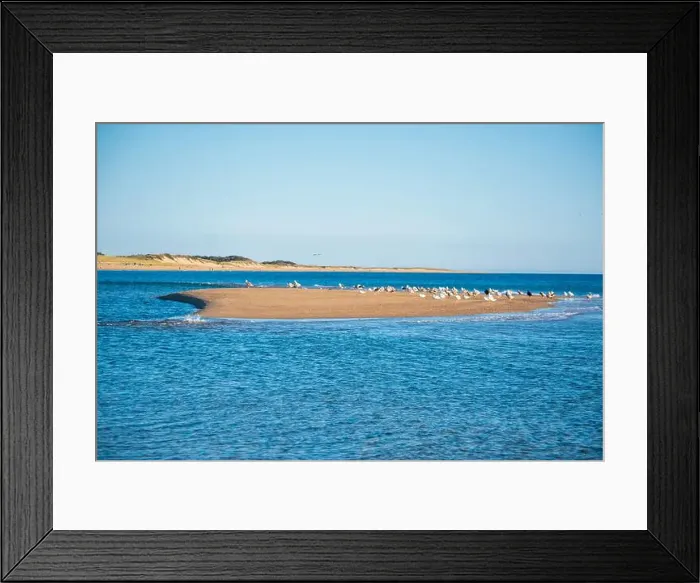 Framed Print : Cape Cod National Seashore features Herring Cove and full access to the Atlantic Ocean near Provincetown, MA, USA Framed Print : Cape Cod National Seashore features Herring Cove and full access to the Atlantic Ocean near Provincetown, MA, USA