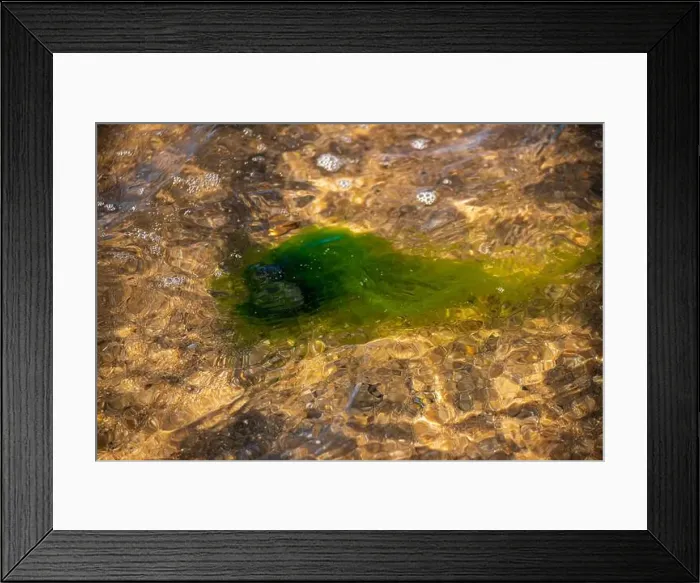 Framed Print : Cape Cod National Seashore features Herring Cove and full access to the Atlantic Ocean near Provincetown, MA, USA