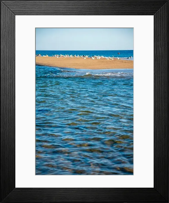 Framed Print : Cape Cod National Seashore features Herring Cove and full access to the Atlantic Ocean near Provincetown, MA, USA Framed Print : Cape Cod National Seashore features Herring Cove and full access to the Atlantic Ocean near Provincetown, MA, USA