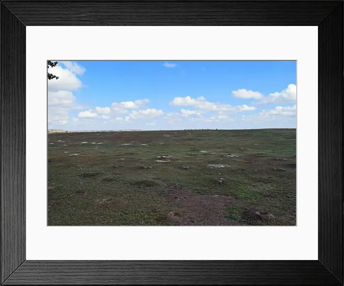 Framed Print : Prairie Field Framed Print : Prairie Field