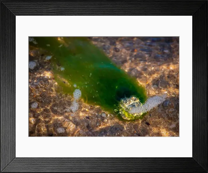 Framed Print : Cape Cod National Seashore features Herring Cove and full access to the Atlantic Ocean near Provincetown, MA, USA Framed Print : Cape Cod National Seashore features Herring Cove and full access to the Atlantic Ocean near Provincetown, MA, USA