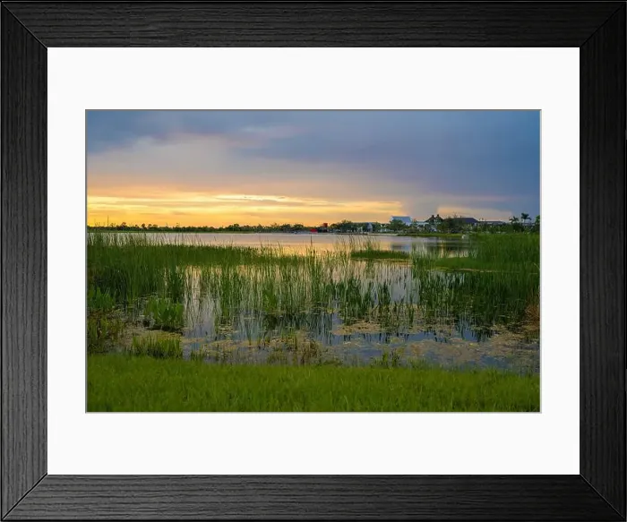 Framed Print : Beautiful nature landscape at sunset. Lake wildlife in Wellen park in Venice, Florida Framed Print : Beautiful nature landscape at sunset. Lake wildlife in Wellen park in Venice, Florida