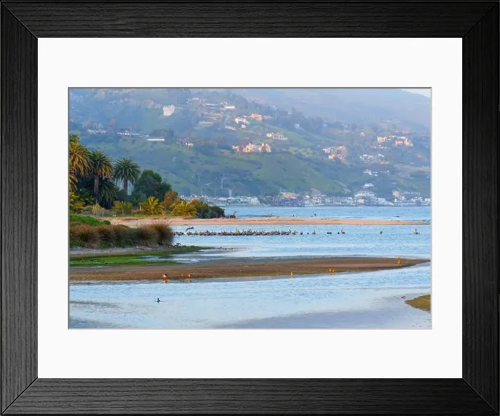 Framed Print : Stunning coastal scene at Malibu Lagoon in California featuring palm trees