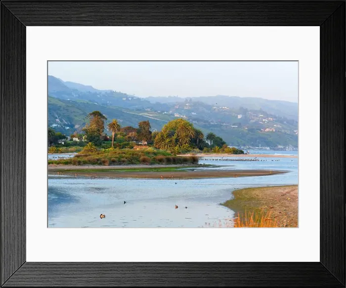 Framed Print : View of small island in Malibu Lagoon adorned with palm trees and ducks Framed Print : View of small island in Malibu Lagoon adorned with palm trees and ducks