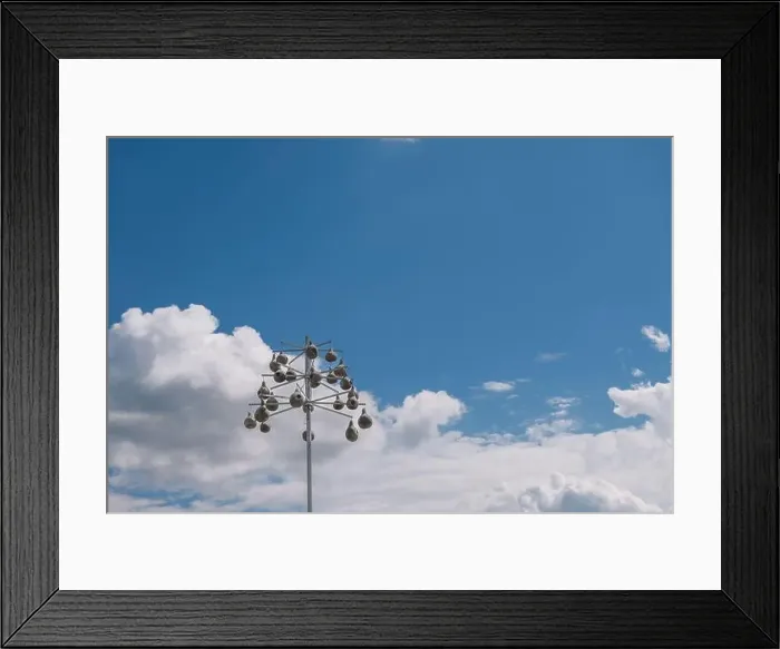 Framed Print : Purple martin birdhouses and cloudscape Framed Print : Purple martin birdhouses and cloudscape