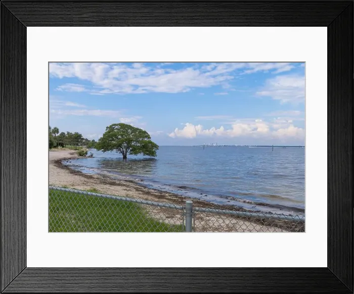 Framed Print : Picnic Island Park City of Tampa Bay Florida USA Framed Print : Picnic Island Park City of Tampa Bay Florida USA