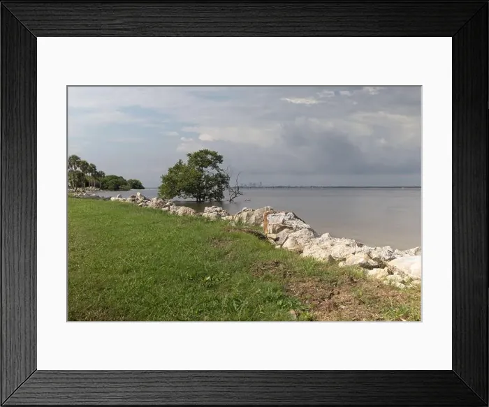 Framed Print : Picnic Island Park City of Tampa Bay Florida USA Framed Print : Picnic Island Park City of Tampa Bay Florida USA