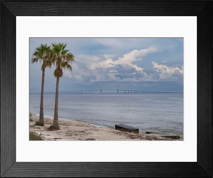 Framed Print : The Sunshine Skyway Bridge over Tampa Bay with beach and palm trees in the foreground. Florida USA Framed Print : The Sunshine Skyway Bridge over Tampa Bay with beach and palm trees in the foreground. Florida USA