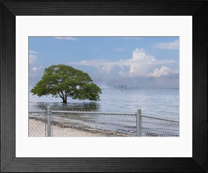 Framed Print : Picnic Island Park City of Tampa Bay Florida USA Framed Print : Picnic Island Park City of Tampa Bay Florida USA