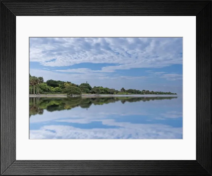 Framed Print : Picnic Island Park City of Tampa Bay Florida USA Framed Print : Picnic Island Park City of Tampa Bay Florida USA