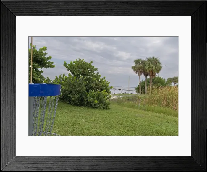 Framed Print : Frisbee Golf Net Picnic Island Park City of Tampa Bay Florida USA Framed Print : Frisbee Golf Net Picnic Island Park City of Tampa Bay Florida USA