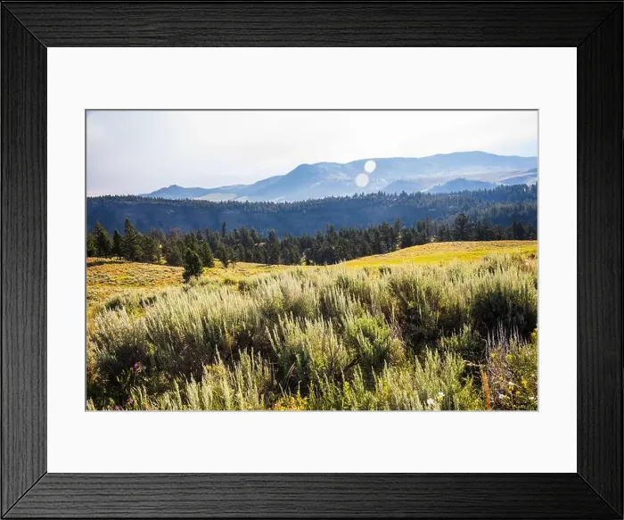Framed Print : Grassy hills with forest and distant mountains under a clear sky Framed Print : Grassy hills with forest and distant mountains under a clear sky
