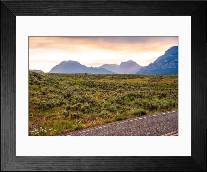 Framed Print : A bison on Lamar Valley grasslands, with mountains in horizon Framed Print : A bison on Lamar Valley grasslands, with mountains in horizon
