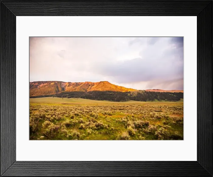 Framed Print : Golden light over hills over Lamar Valley's vast landscape Framed Print : Golden light over hills over Lamar Valley's vast landscape
