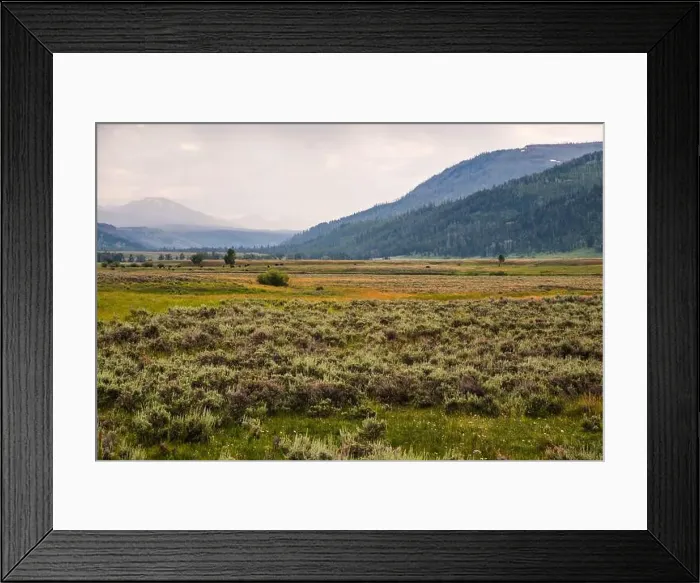 Framed Print : Wide landscape of Lamar Valley with grazing bison and hills Framed Print : Wide landscape of Lamar Valley with grazing bison and hills