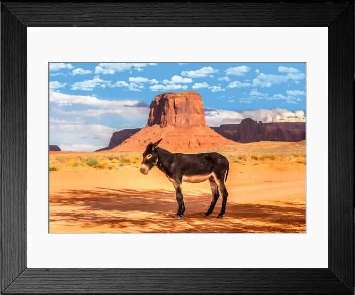 Framed Print : A donkey on red sand in the arid landscape of Arizona, close to the Monument Valley