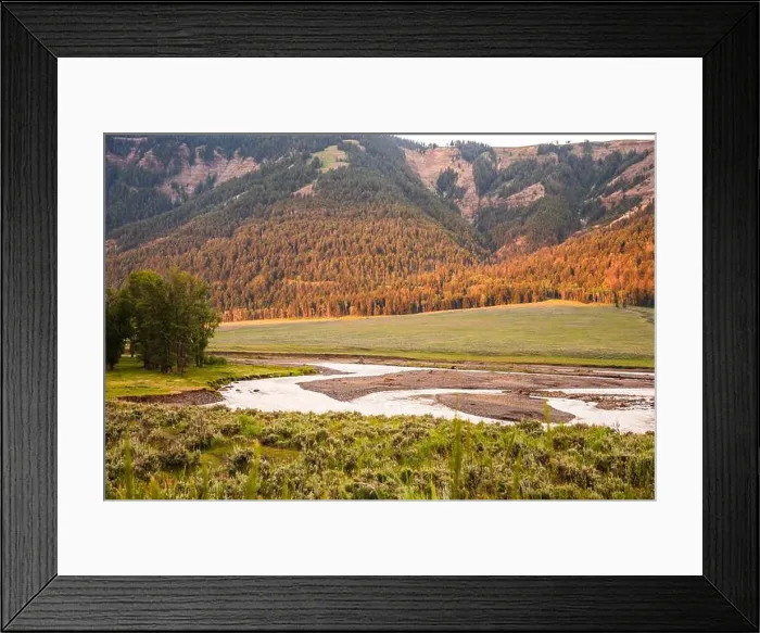 Framed Print : Sunrise Lamar Valley highlighting a serene river and forest Framed Print : Sunrise Lamar Valley highlighting a serene river and forest
