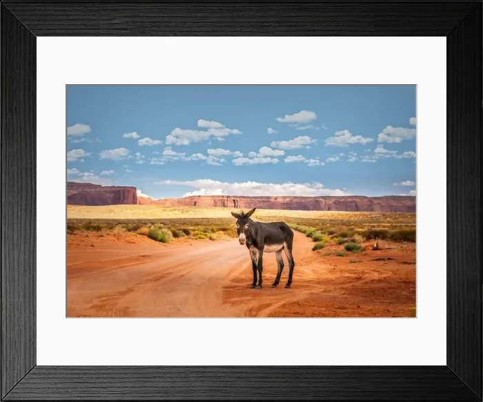Framed Print : A donkey on red sand in the arid landscape of Arizona, close to the Monument Valley Framed Print : A donkey on red sand in the arid landscape of Arizona, close to the Monument Valley
