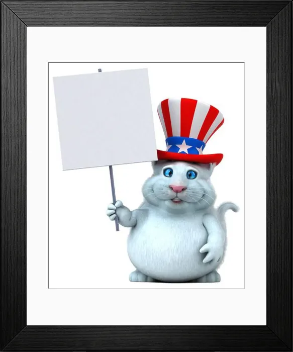 Framed Print : Fun 3D cartoon cat with an uncle sam hat Framed Print : Fun 3D cartoon cat with an uncle sam hat