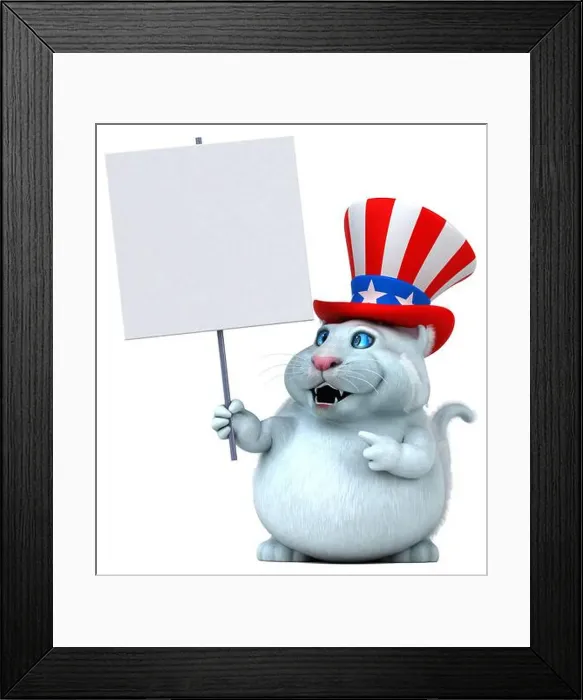 Framed Print : Fun 3D cartoon cat with an uncle sam hat Framed Print : Fun 3D cartoon cat with an uncle sam hat