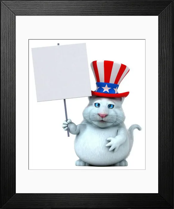 Framed Print : Fun 3D cartoon cat with an uncle sam hat Framed Print : Fun 3D cartoon cat with an uncle sam hat