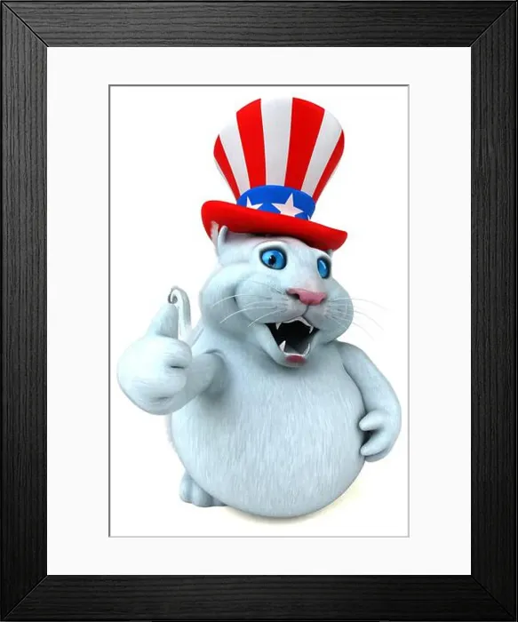 Framed Print : Fun 3D cartoon cat with an uncle sam hat Framed Print : Fun 3D cartoon cat with an uncle sam hat