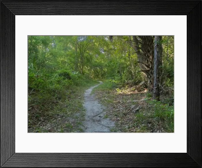 Framed Print : Flatwoods Conservation Park City of Tampa Hillsboro County Florida Recreation Framed Print : Flatwoods Conservation Park City of Tampa Hillsboro County Florida Recreation