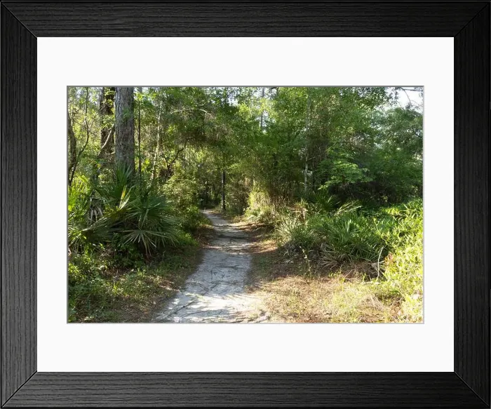 Framed Print : Flatwoods Conservation Park City of Tampa Hillsboro County Florida Recreation Framed Print : Flatwoods Conservation Park City of Tampa Hillsboro County Florida Recreation