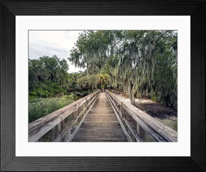 Framed Print : Dock at Lake Jessup, Oviedo, Florida, June 24, 2024 Framed Print : Dock at Lake Jessup, Oviedo, Florida, June 24, 2024