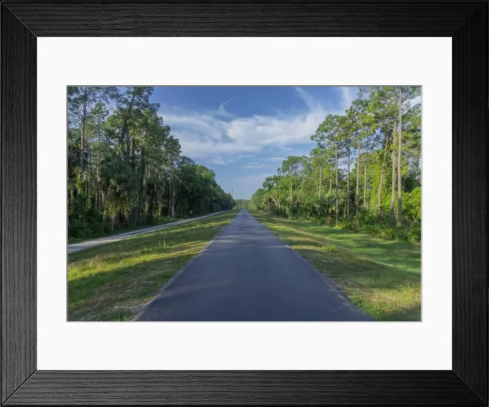 Framed Print : Flatwoods Conservation Park City of Tampa Hillsboro County Florida Recreation