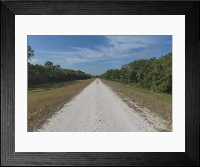 Framed Print : Flatwoods Conservation Park City of Tampa Hillsboro County Florida Recreation Framed Print : Flatwoods Conservation Park City of Tampa Hillsboro County Florida Recreation