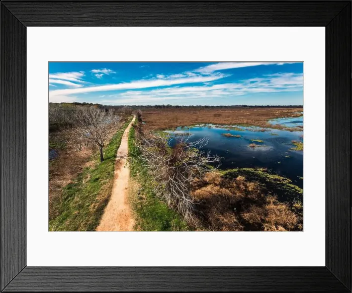 Framed Print : Brazos Bend State Park, Texas, in a beautiful sunny morning Framed Print : Brazos Bend State Park, Texas, in a beautiful sunny morning