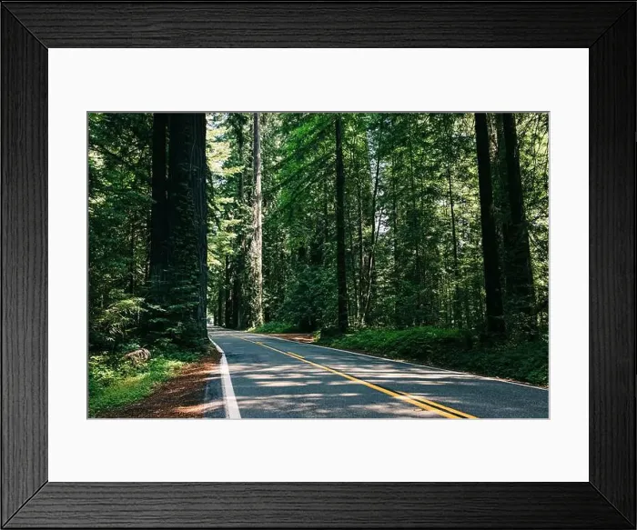 Framed Print : Scenic winding road through towering redwood trees in a forested area Framed Print : Scenic winding road through towering redwood trees in a forested area