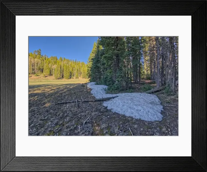 Framed Print : Taken near the end of May 2024 Framed Print : Taken near the end of May 2024