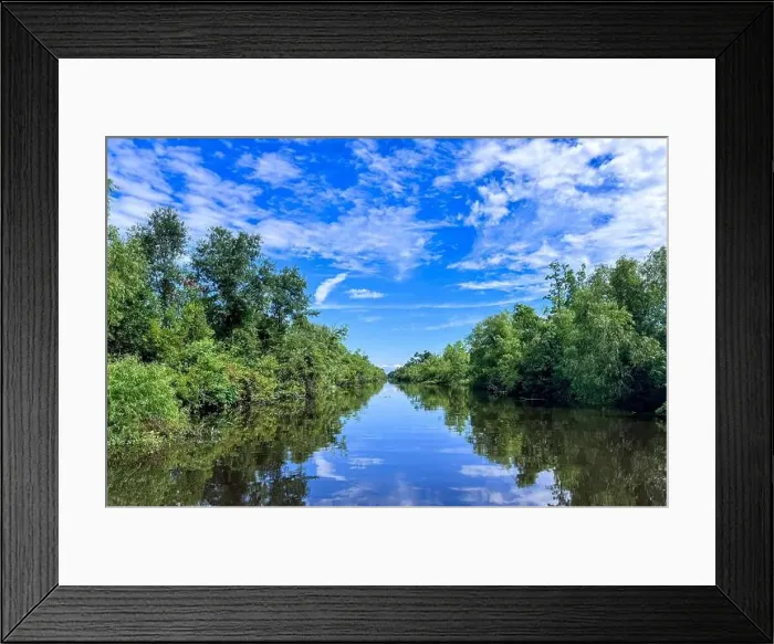 Framed Print : Calm water on a Louisiana Swamp Framed Print : Calm water on a Louisiana Swamp