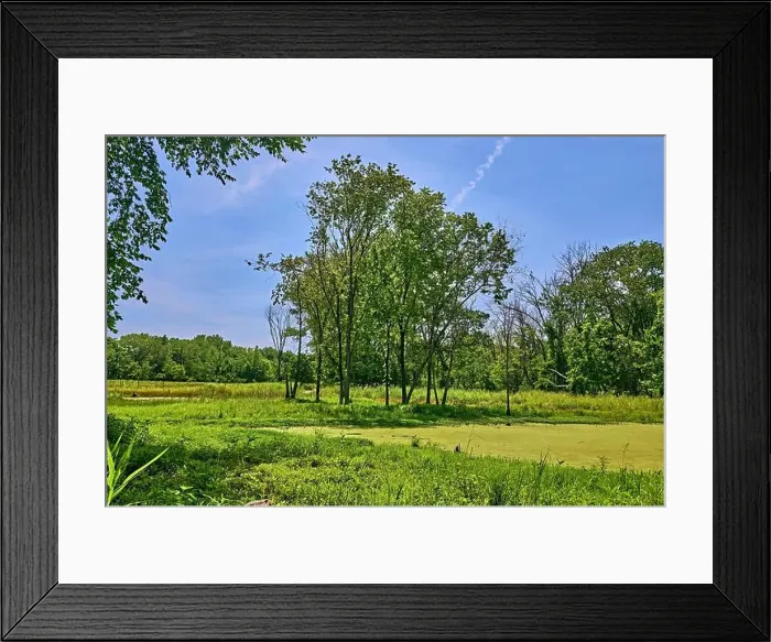 Framed Print : Teaneck Creek Conservancy in Teaneck Framed Print : Teaneck Creek Conservancy in Teaneck