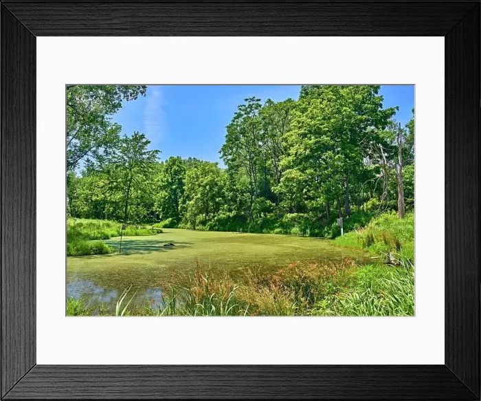 Framed Print : Teaneck Creek Conservancy in Teaneck Framed Print : Teaneck Creek Conservancy in Teaneck