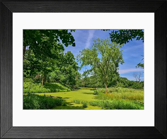 Framed Print : Teaneck Creek Conservancy in Teaneck Framed Print : Teaneck Creek Conservancy in Teaneck