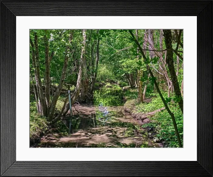 Framed Print : Teaneck Creek Conservancy in Teaneck, NJ, USA. A beautiful wetland scene of a stream or small creek Framed Print : Teaneck Creek Conservancy in Teaneck, NJ, USA. A beautiful wetland scene of a stream or small creek
