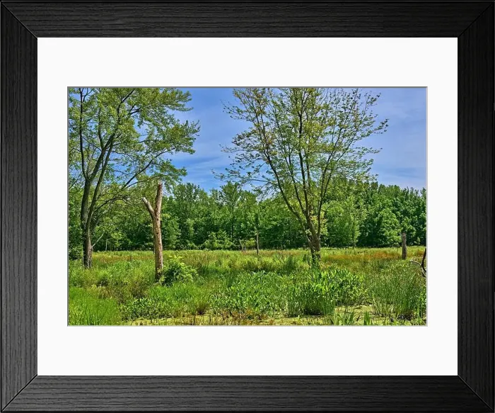 Framed Print : Teaneck Creek Conservancy in Teaneck Framed Print : Teaneck Creek Conservancy in Teaneck