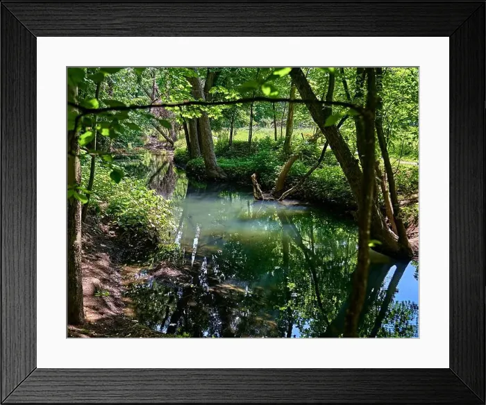 Framed Print : Teaneck Creek Conservancy in Teaneck, NJ, USA. A beautiful wetland scene of a stream or small creek Framed Print : Teaneck Creek Conservancy in Teaneck, NJ, USA. A beautiful wetland scene of a stream or small creek