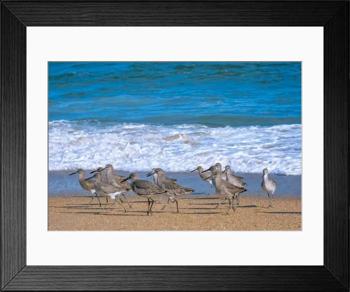 Framed Print : Crashing waves, Florida Framed Print : Crashing waves, Florida