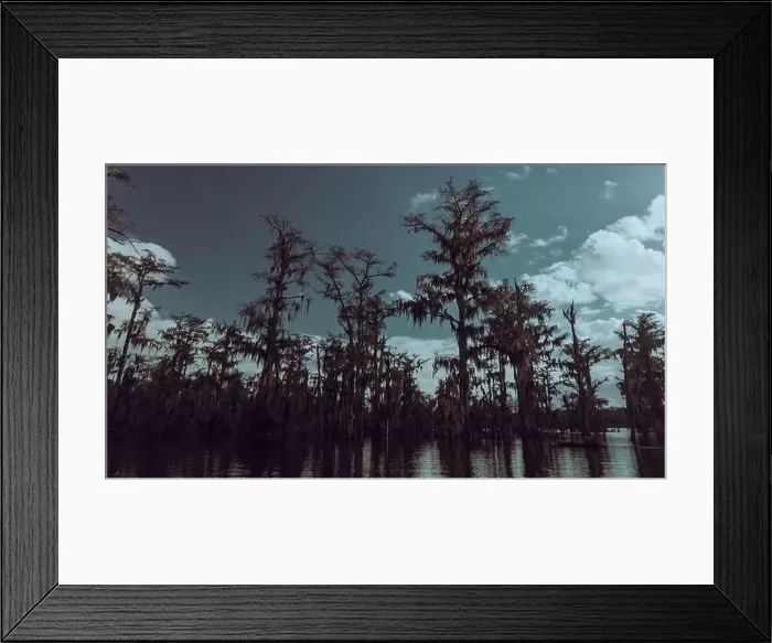 Framed Print : Swamp tour on a boat near Lafayette, Luisiana Framed Print : Swamp tour on a boat near Lafayette, Luisiana