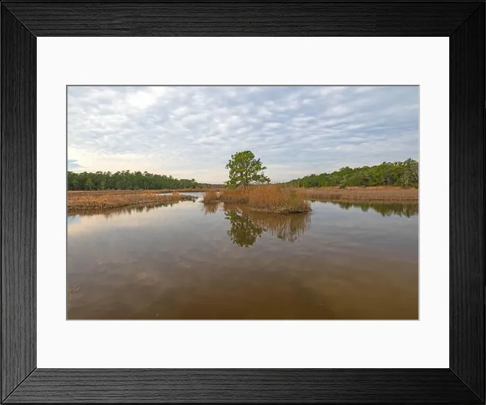 Framed Print : Cloud Reflections in Wildlife Refuge Pond in the Santee Coastal reserve in South Carolina Framed Print : Cloud Reflections in Wildlife Refuge Pond in the Santee Coastal reserve in South Carolina