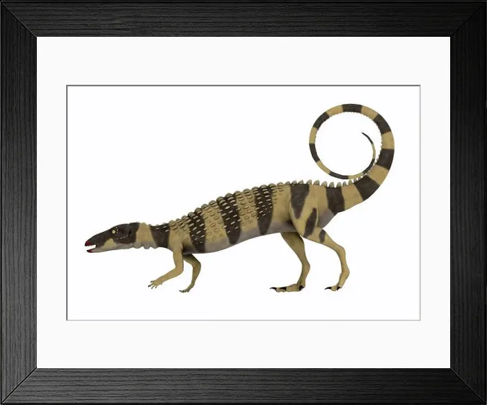 Framed Print : Scutellosaurus was an armored herbivorous dinosaur that lived in Arizona, USA during the Jurassic Period Framed Print : Scutellosaurus was an armored herbivorous dinosaur that lived in Arizona, USA during the Jurassic Period