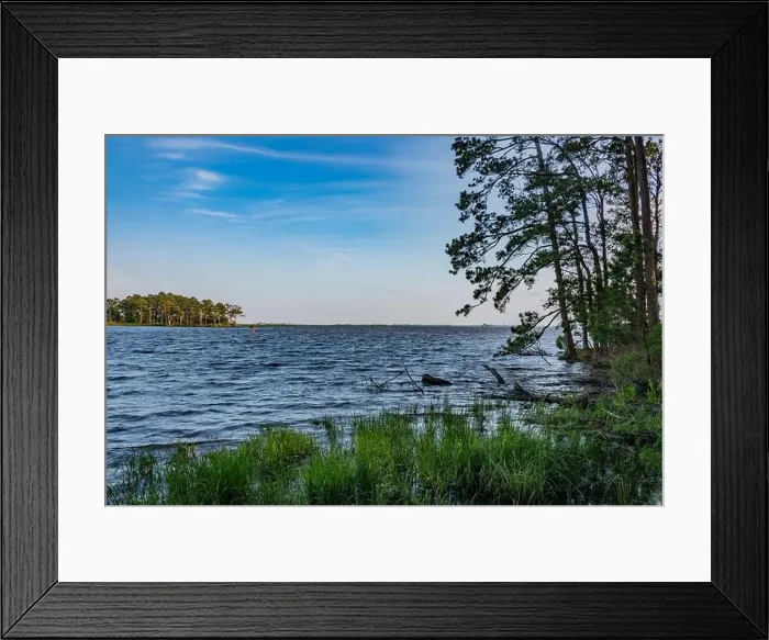 Framed Print : Late Afternoon at Blackwater National Wildlife Refuge, MD JUSA Framed Print : Late Afternoon at Blackwater National Wildlife Refuge, MD JUSA