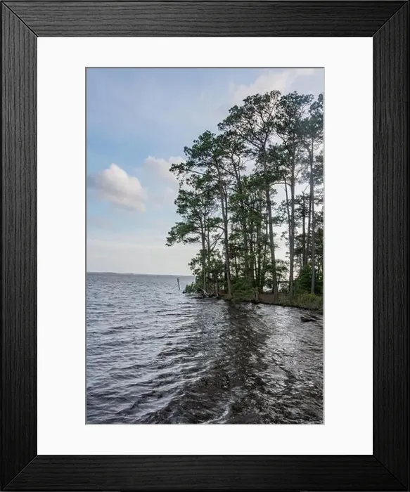 Framed Print : Blackwater NWR Shoreline During Late Afternoon, Maryland USA Framed Print : Blackwater NWR Shoreline During Late Afternoon, Maryland USA