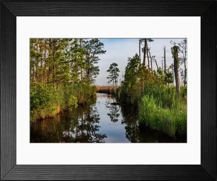 Framed Print : Backwater Reflections at Dusk, Blackwater National Wildlife Refuge MD USA Framed Print : Backwater Reflections at Dusk, Blackwater National Wildlife Refuge MD USA