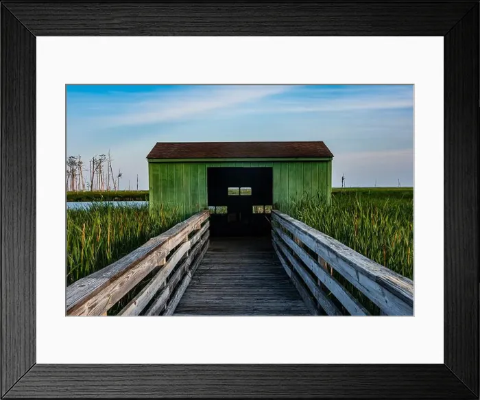 Framed Print : Bird Blind, Blackwater National Wildlife Refuge, Maryland USA