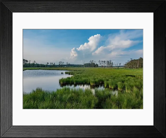 Framed Print : Sunset at Blackwater National Wildlife Refuge, Maryland USA